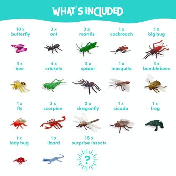 50 faux insectes différents 4