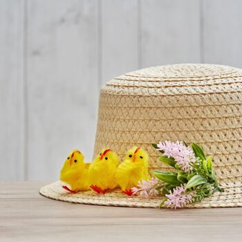 36 adorables petits poussins de Pâques jaunes moelleux et mignons 3