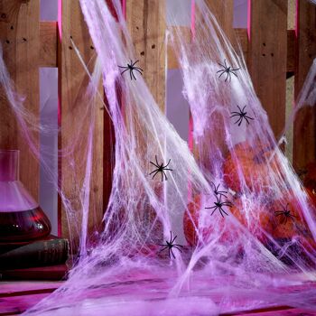 Grande toile d'araignée réaliste 300g avec 40 fausses araignées, décorations d'Halloween parfaites. 5