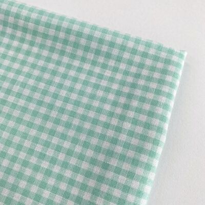 Small mint green gingham fabric
