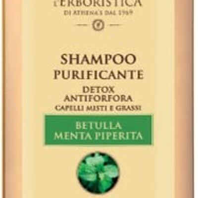 Shampoo antirumore op base van berk-en muntextract (300 ml)