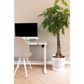 Bureau assis-debout électrique - Blanc avec plateau en verre - 120 x 60 cm 5