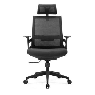 Budget Office chair - Skyler - With headrest - Not mounted
