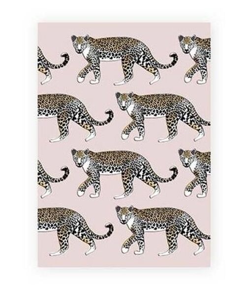 A5 kaart Leopard
