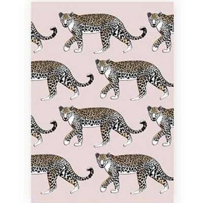 Carta A5 Leopardo