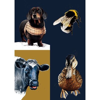 Paquete de los más vendidos 2022 - Tarjetas con ilustraciones de animales