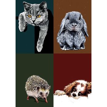 Bestsellers Bundle 2022 - Cartes d'art animalier 2