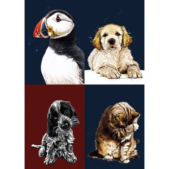 Bestsellers Bundle 2022 - Cartes d'art animalier 3