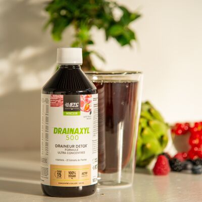 Drainaxyl 500® - Fruits Rouges