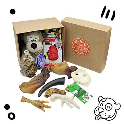 Discovery box for puppies