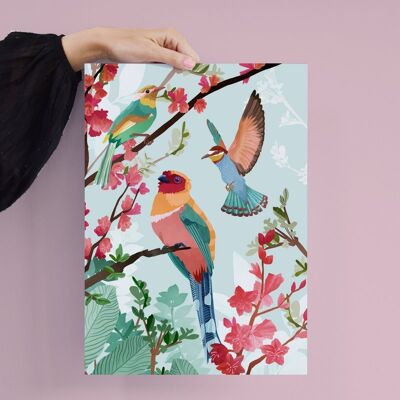 Poster - Birds of Summer