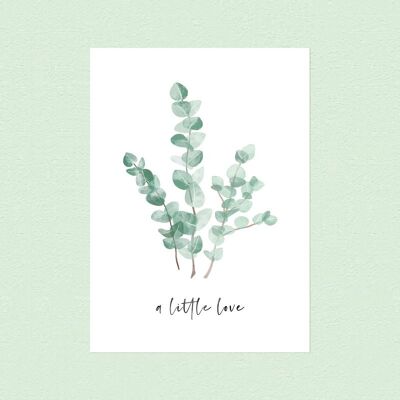 "A little love" eucalyptus