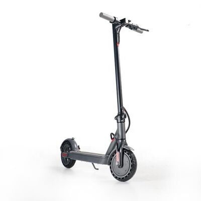 Electric scooter 350W