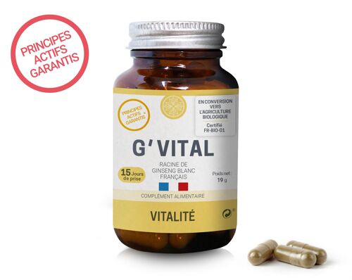 G'VITAL - Vitalité - 100% Ginseng blanc français en gélules végétales