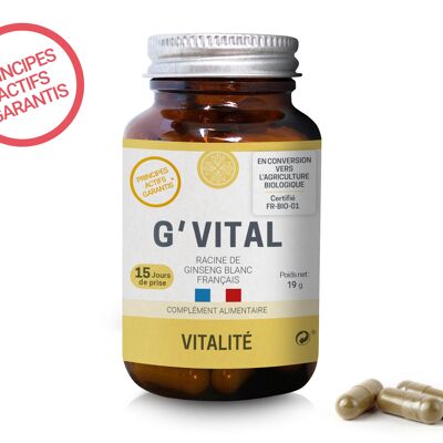 G'VITAL - Vitality - Ginseng bianco francese 100% in capsule vegetali