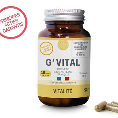 G'VITAL - Vitality - Ginseng blanco francés 100% en cápsulas vegetales