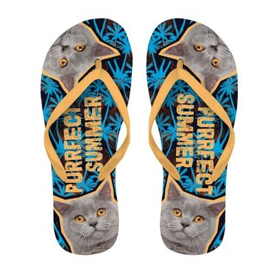 Flip Flops British Shorthair Cat 37-39