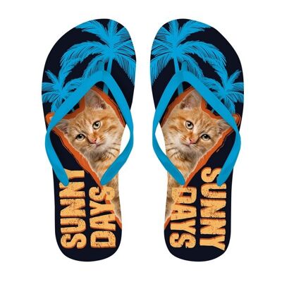 Flip Flops Orange Tabby 40-42