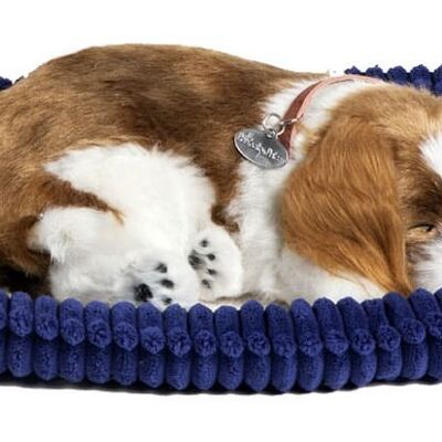Perfect Petzzz soft Cavalier King Charles