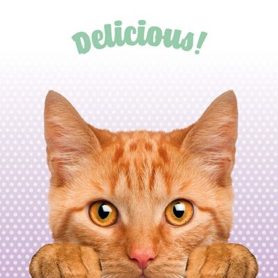 Placemat Ginger Cat Delicious