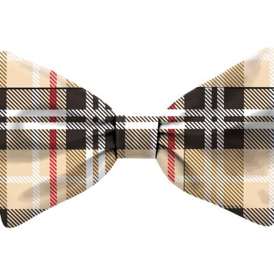 Bow Tie Cat S Checked Pattern
