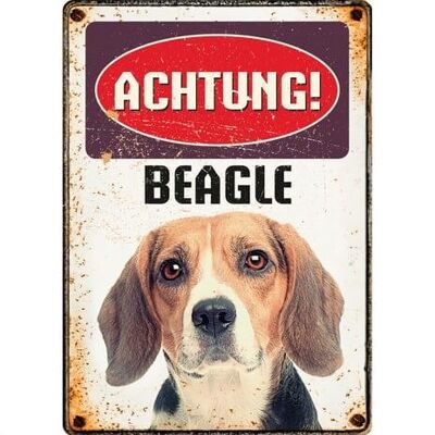 Schild Blech Beagle