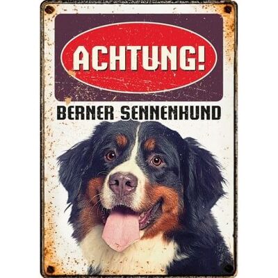 Schild Blech Berner Sennenhund