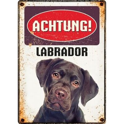 Schild Blech Labrador