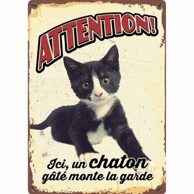 Panneau Métallique Chaton