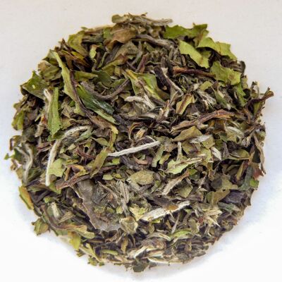 Pai Mu Tan White Tea 500 grams