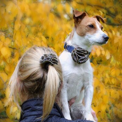 Accessorio fiore collare per cani - Loch Heather