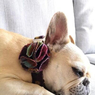 Dog collar flower accessory - Multispot Wine