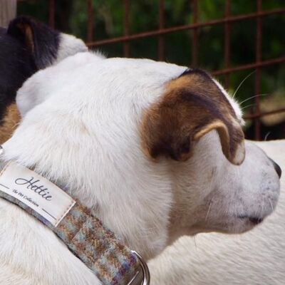 Collier pour chien - Loch Heather - Grand