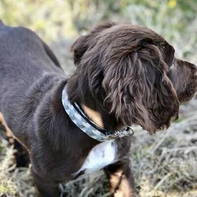 Collier pour chien - Holborn Taupe - Moyen