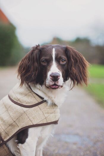 Manteau pour chien Jasper - Slate Oatmeal medium 6