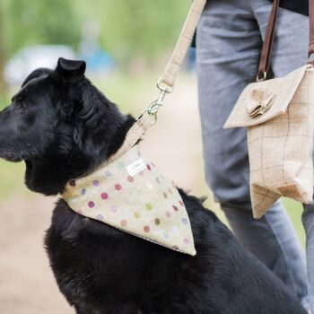 Bandana pour chien Charlie - Multispot Lime petit 1