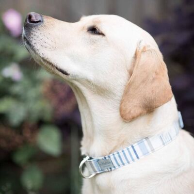 Dog Collar - chambray SMALL