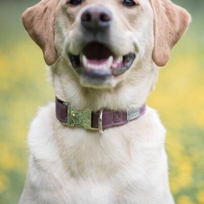 Dog Collar - burgundy canvas SMALL