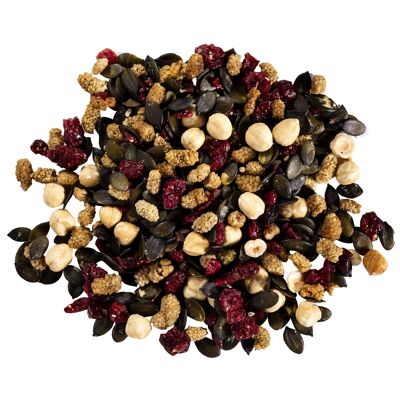 DRIED FRUITS / Organic gourmet mix in bulk 5x2kg color foods