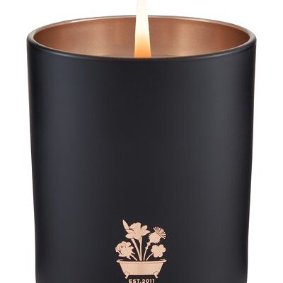 Noble Isle Home Fine Fragrance Willow Song Candle