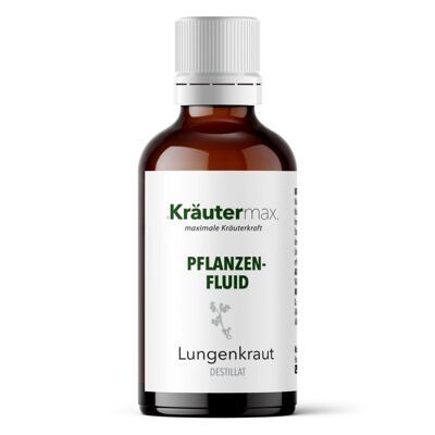 Lungenkraut Tropfen Fluid Extrakt 1 x 50 ml