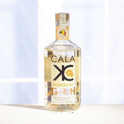 CALA KUMQUAT GIN 40% ALC/VOL - 70CL