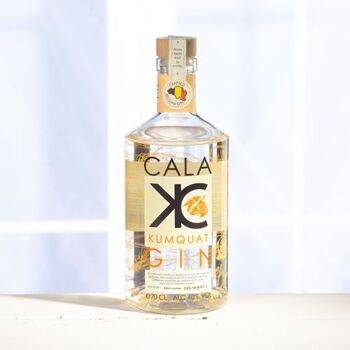 Cala kumquat gin 40% alc/vol – 70cl 1