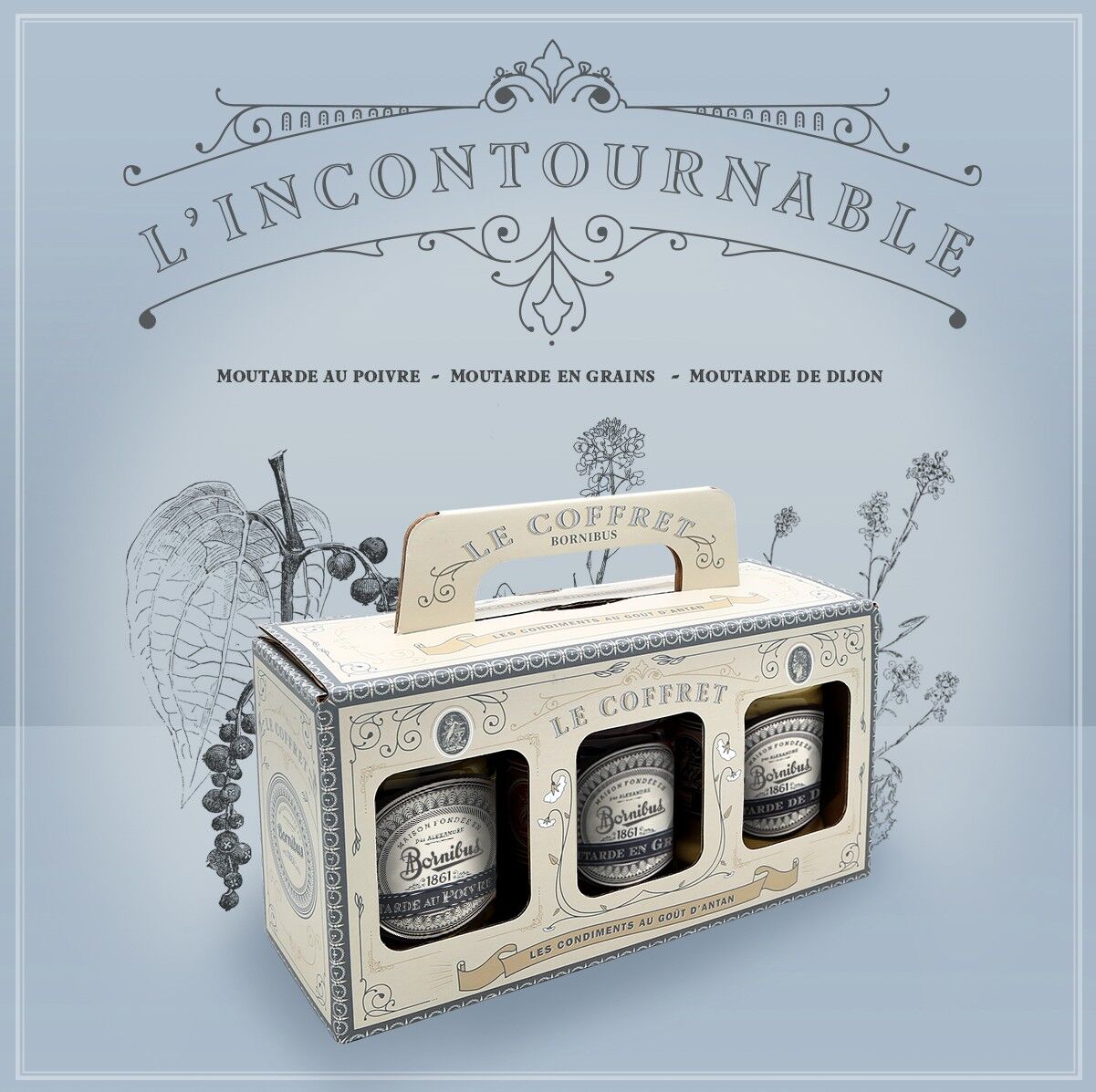 Die unverzichtbare Box – Pfeffersenf – Körner – Dijon