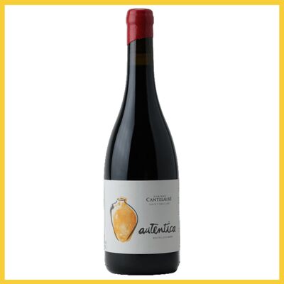 Saint Emilion vin rouge sans sulfites vieillit en amphore