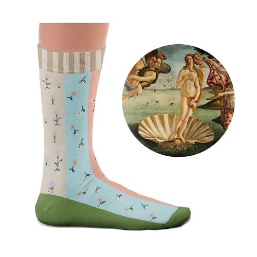 Birth of Venus Socks