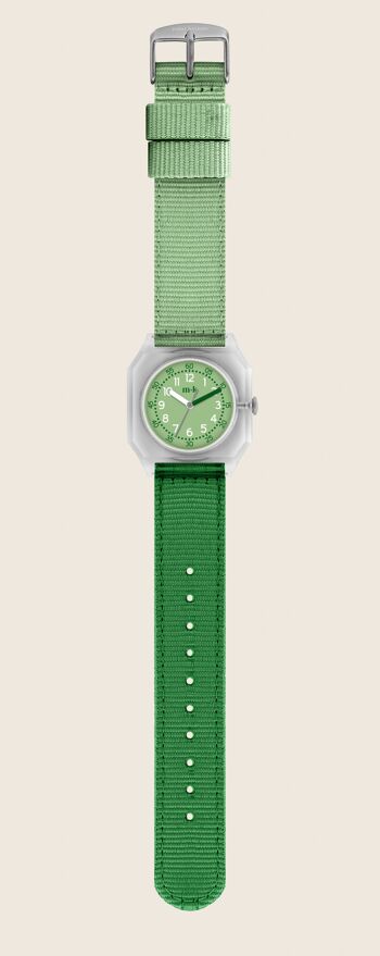 Smoothie vert - montre 1