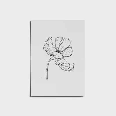 Minimal Peony Rose Black And White Poster a3