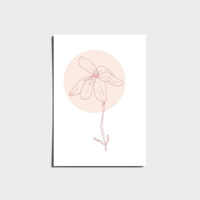 Minimal Butterfly Flower Pastel Poster a3