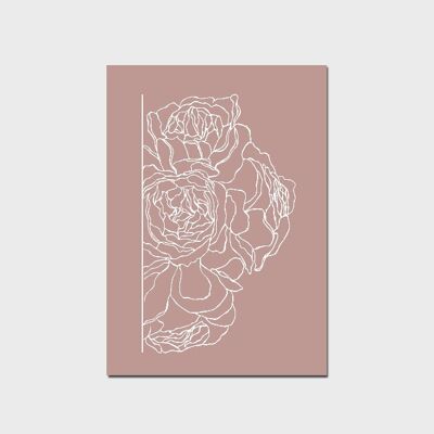 Minimal Pink Peony Roses Poster a3